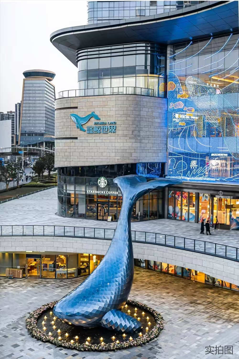 1745829936558829.jpg 20232d9bee7edc1674a817034416c0d.jpg