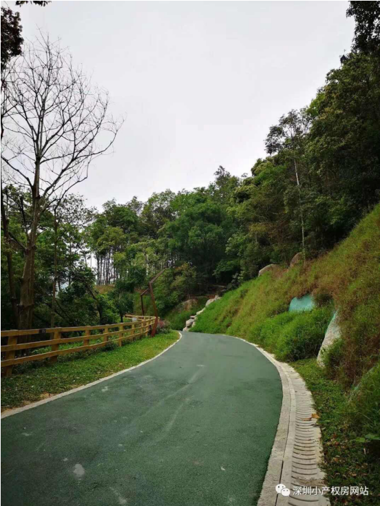 56.8萬入手龍華山水綠園村委統建樓，還在等什么？