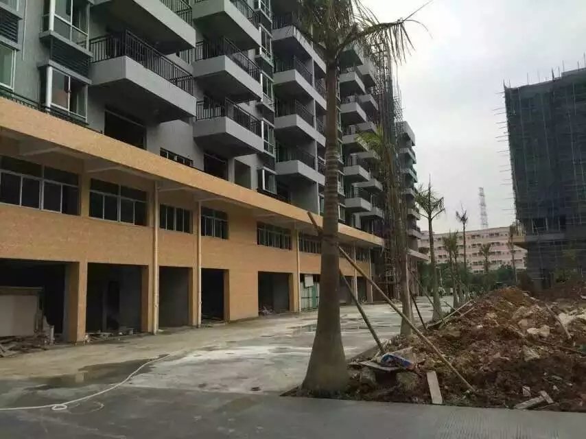 沙井老街片區(qū)也是小產(chǎn)權房集中的區(qū)域