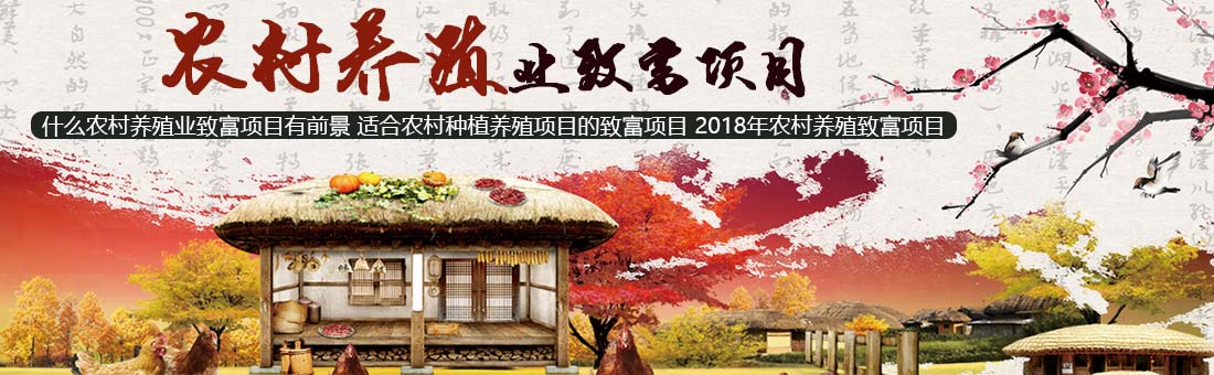 村委會(huì)先后組織村民開展硬化南北道