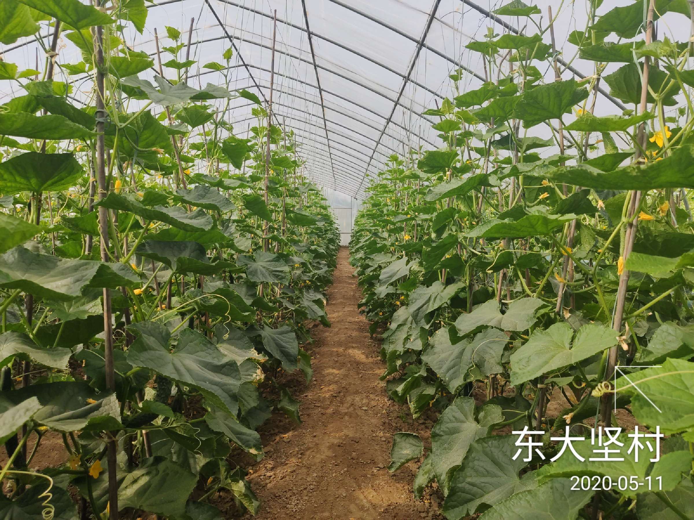 基本解決灘區居民的防洪安全和安居問題