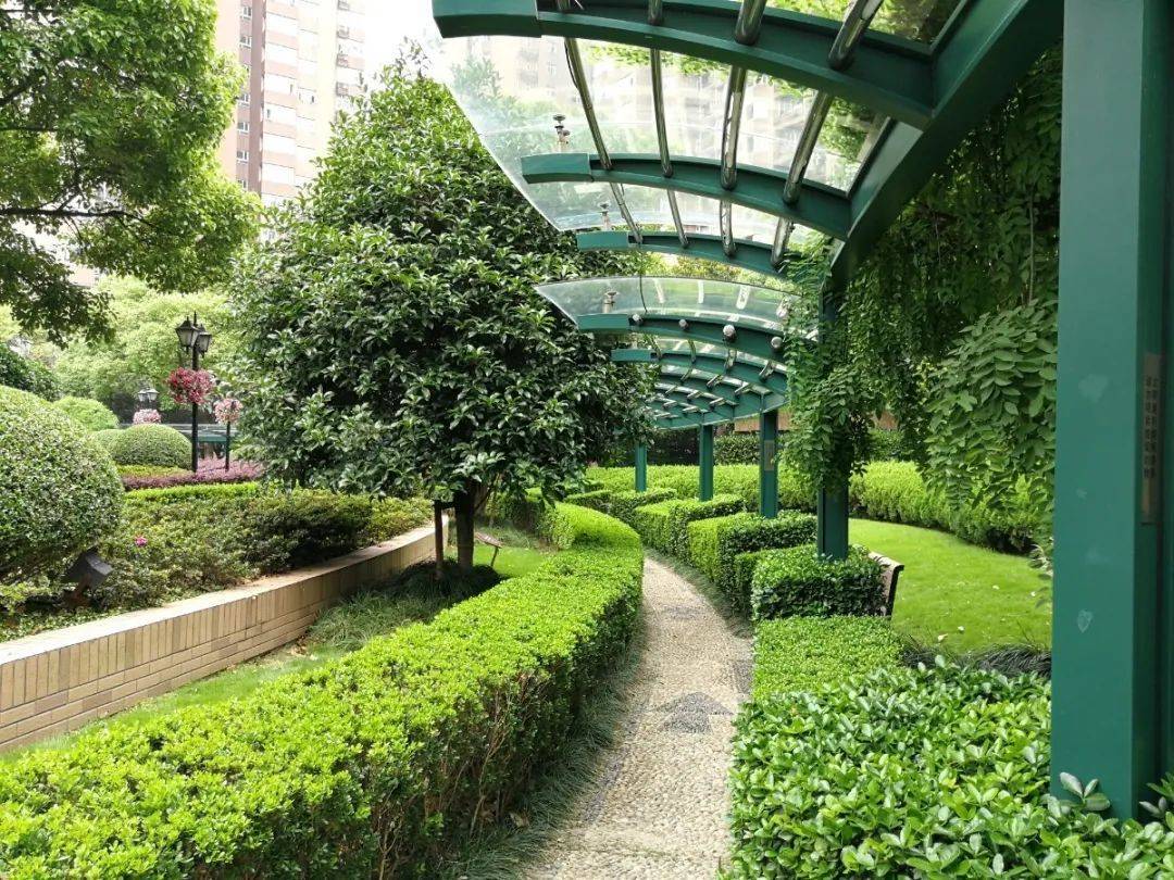 里面景觀環境簡直就是高檔一點的安置小區