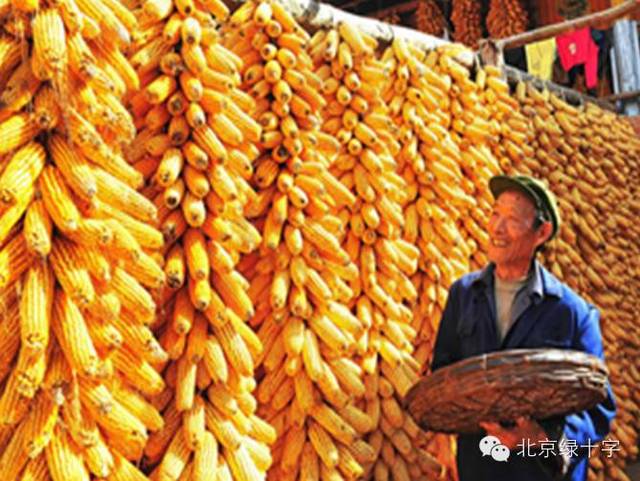 很多人連城里人都買不起房子