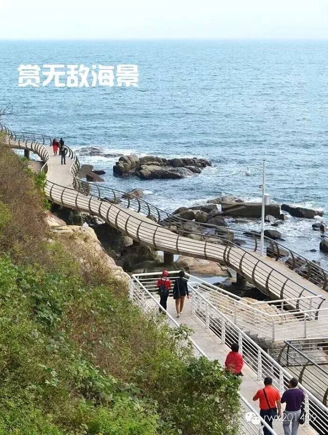 不少深圳買家從去年初的看房開始