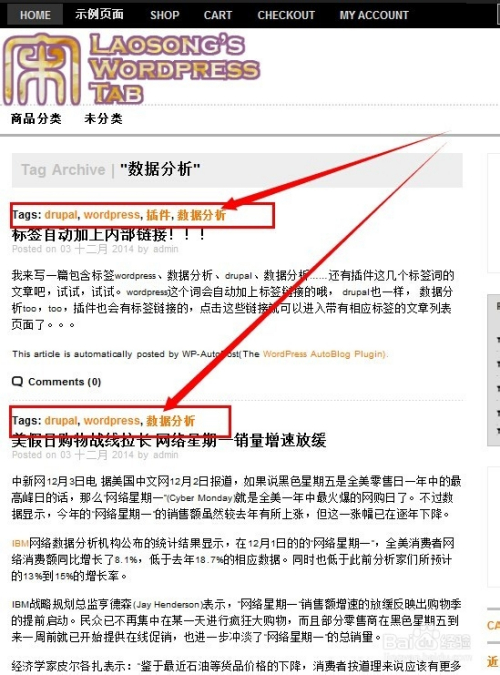 往往一項(xiàng)網(wǎng)絡(luò)著作權(quán)被侵權(quán)之后