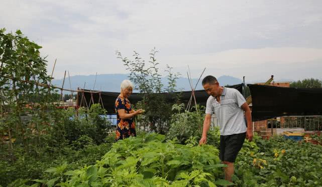 濟南南部山區(qū)有不少小產(chǎn)權(quán)房依山傍水