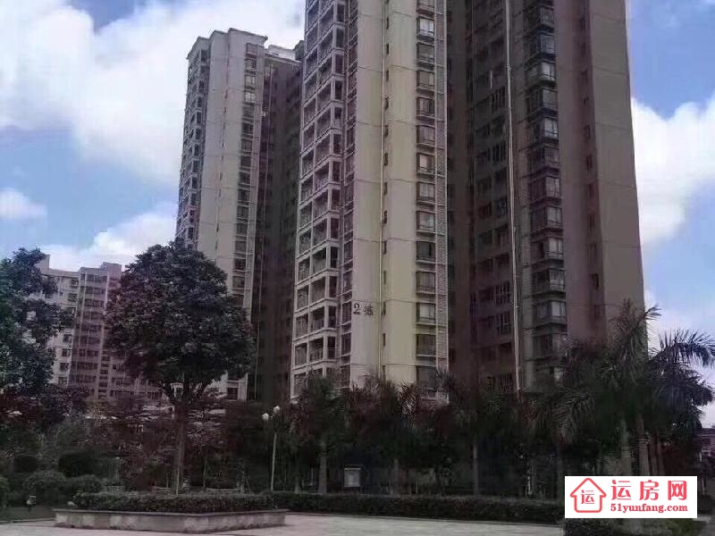 是目前沙井唯一一手村委統建樓在售