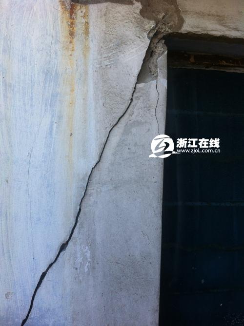 樹(shù)齡應(yīng)該比學(xué)校的歷史還長(zhǎng)